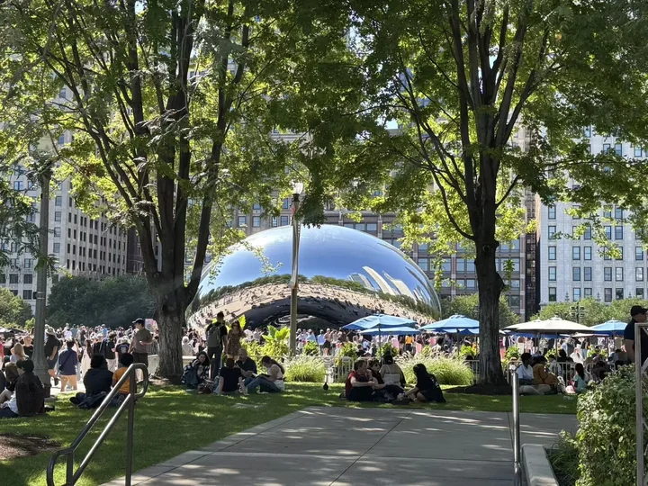 Cloud Gate in Chicago framed by trees